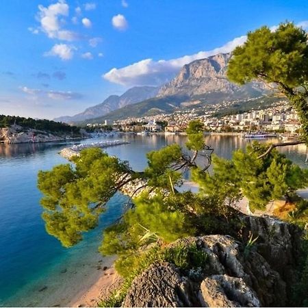 Apartmani Sea Star ماكارسكا المظهر الخارجي الصورة